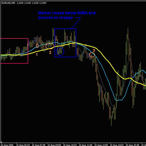 Внутридневная система для m5 50 SMA